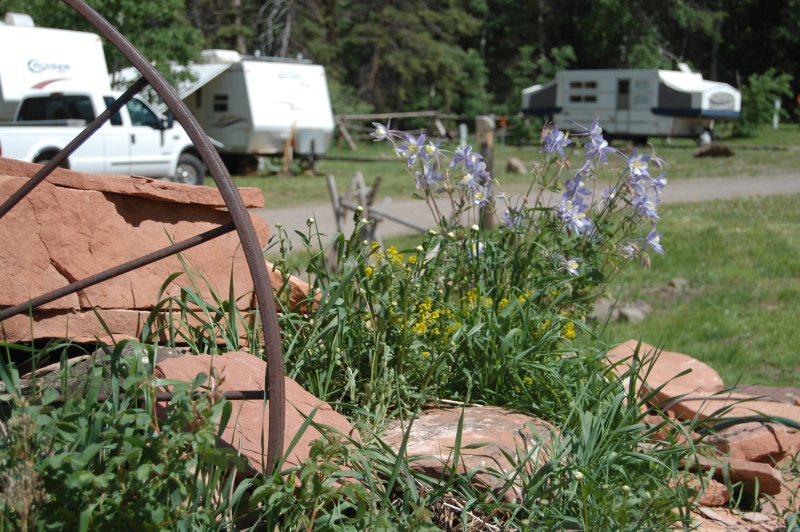 RV & Tent Campground - Ute Lodge, Meeker, CO