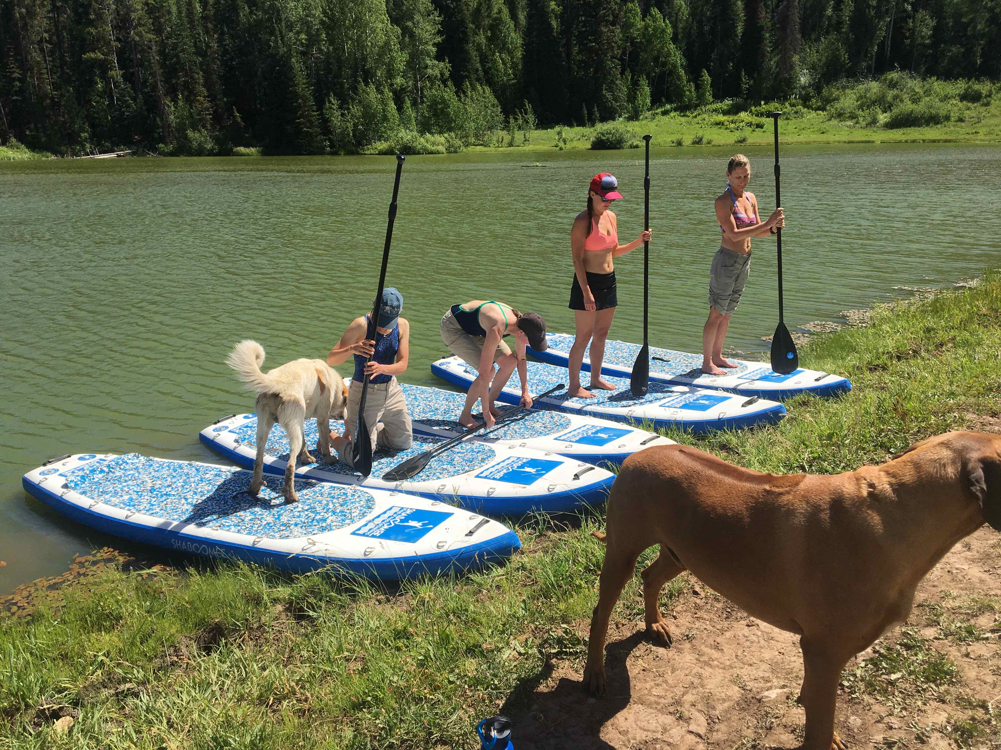 Paddle boarding at Ute Lodge